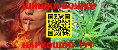 гидра Партизанск