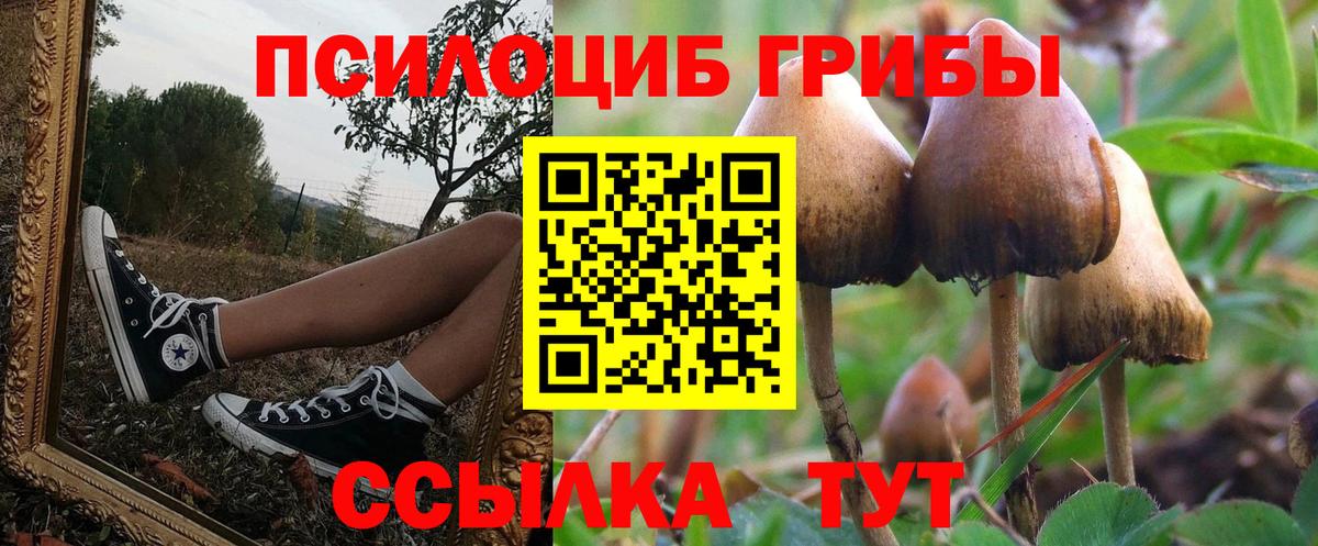 Псилоцибиновые грибы Psilocybe Реж