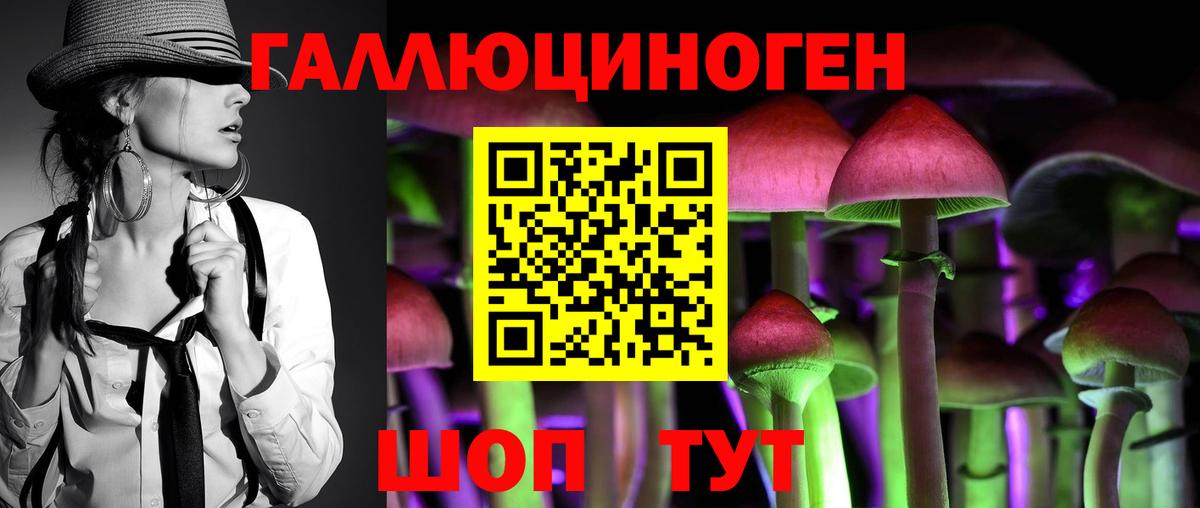 Галлюциногенные грибы мухоморы  Вход с VPN  Реж  Галлюциногенные грибы прущие грибы 